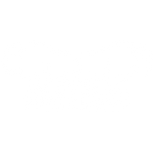 Poetic Bisons
